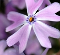 D30_8638 Kopie.jpg   26.04